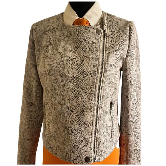 Brand New Cupcakes and Cashmere Snakeskin Print Moto Jacket Size Small - Picture 1 of 4
